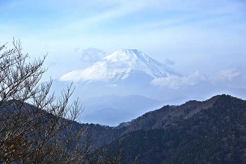 山頂手前の富士山.jpg